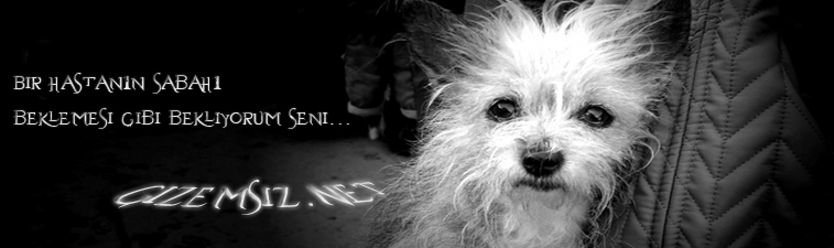 aÅ?k Å?iirleri AÅ?K Å?Ä°Ä°RLERÄ° aÅ?k Å?iiri aÅ?k Å?iirleri aÅ?k